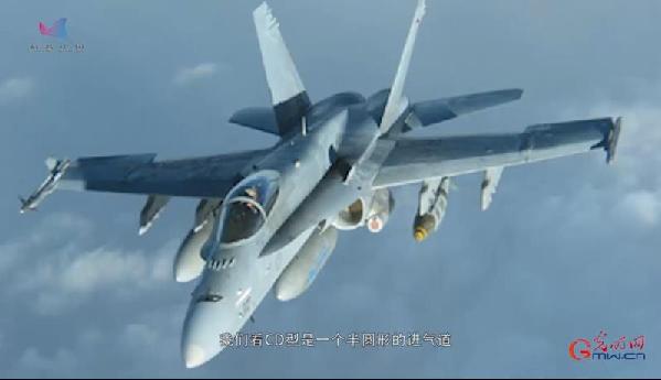 【烽火访谈】FA-18大黄蜂几种迭代改型有何特性？会被F-35替代么？