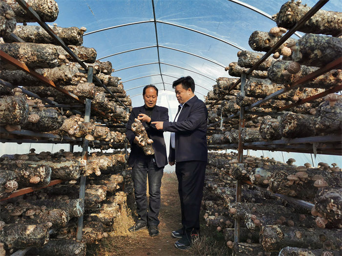 退役军人秦洁：发扬军人作风 助力乡村振兴